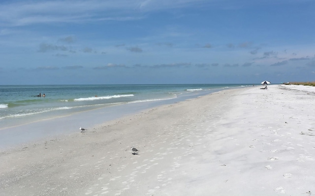 water view featuring a beach view