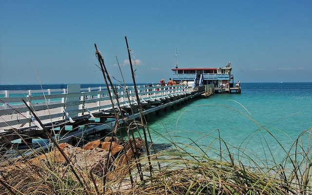 dock area with a water view