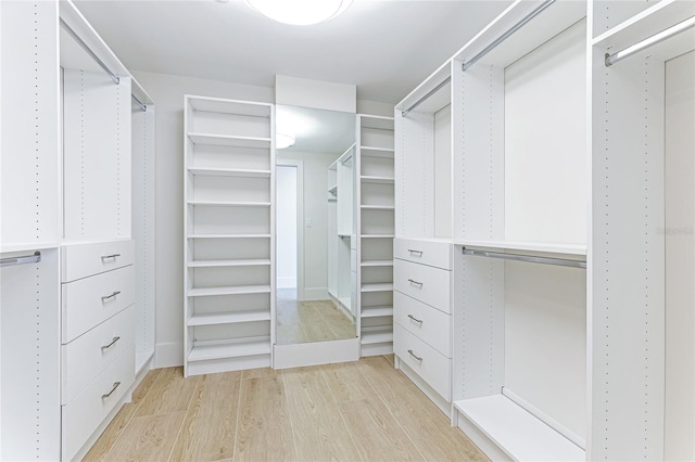 walk in closet featuring light wood-type flooring