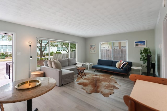 living room with light hardwood / wood-style flooring