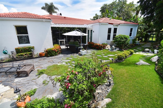 back of house featuring a patio and a lawn