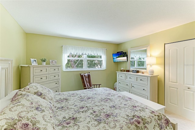 carpeted bedroom with a closet