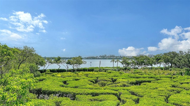 view of yard featuring a water view