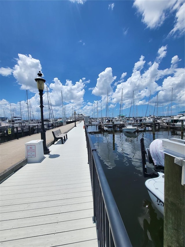 dock area with a water view