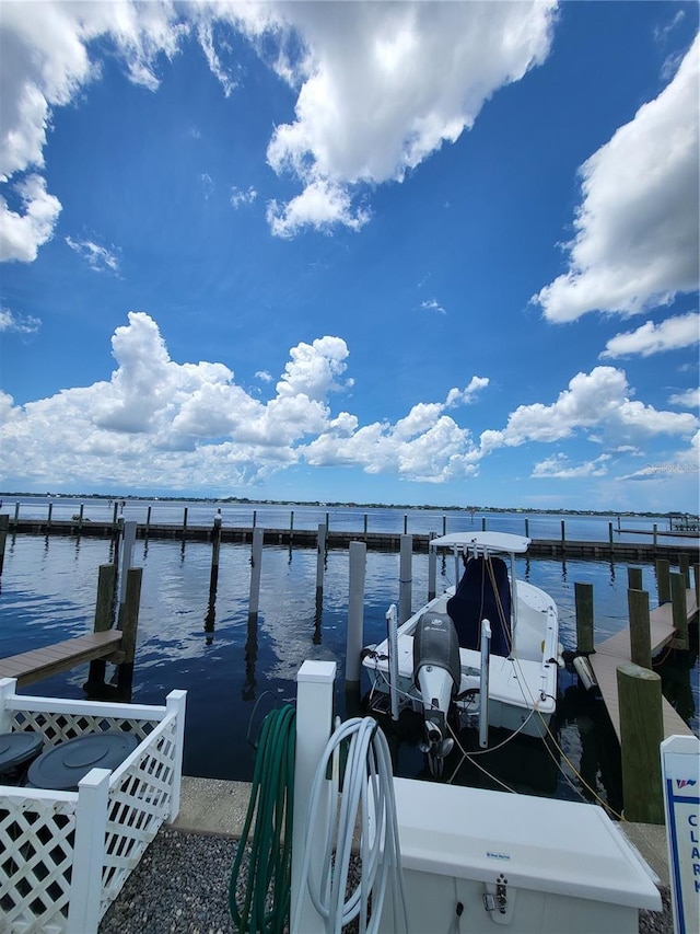 dock area with a water view