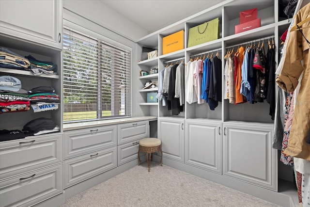 spacious closet with light carpet