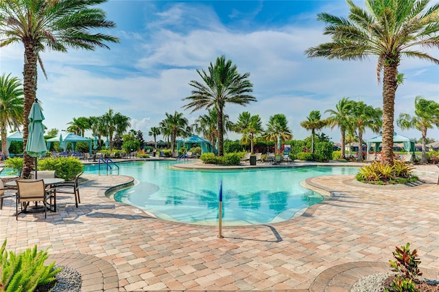 view of swimming pool featuring a patio area