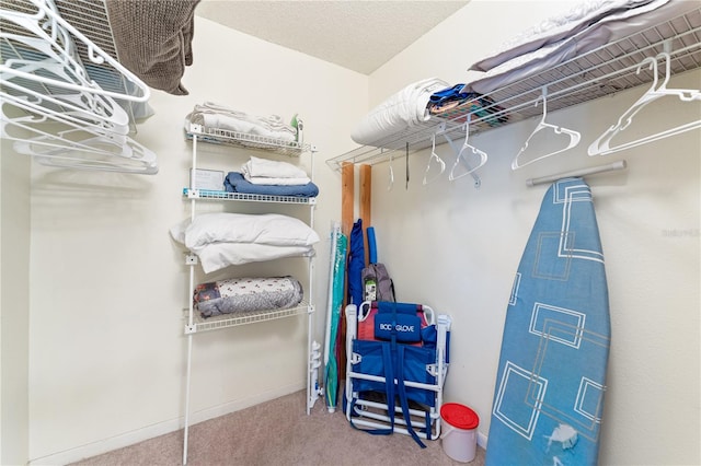 walk in closet featuring carpet flooring