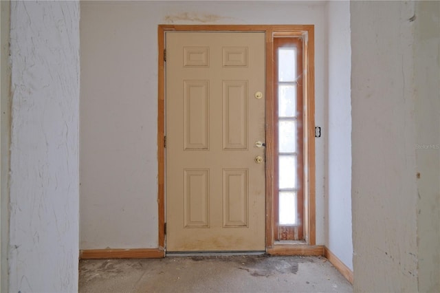 foyer entrance featuring plenty of natural light