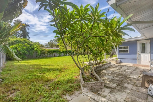 view of yard featuring a patio