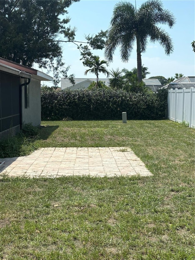 view of yard featuring a patio