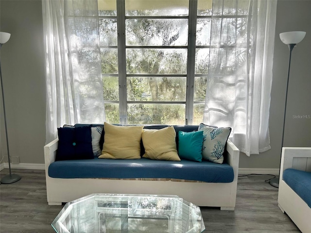 living area with hardwood / wood-style floors