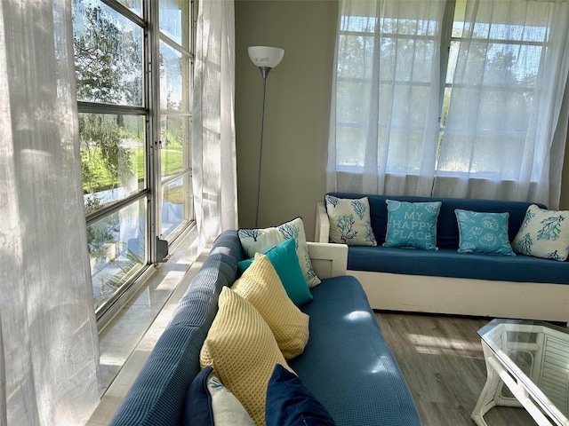 living room with hardwood / wood-style floors