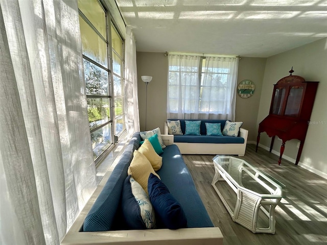 living room with hardwood / wood-style floors