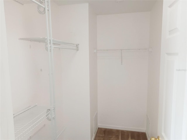 view of walk in closet