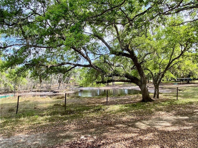 view of yard with a water view