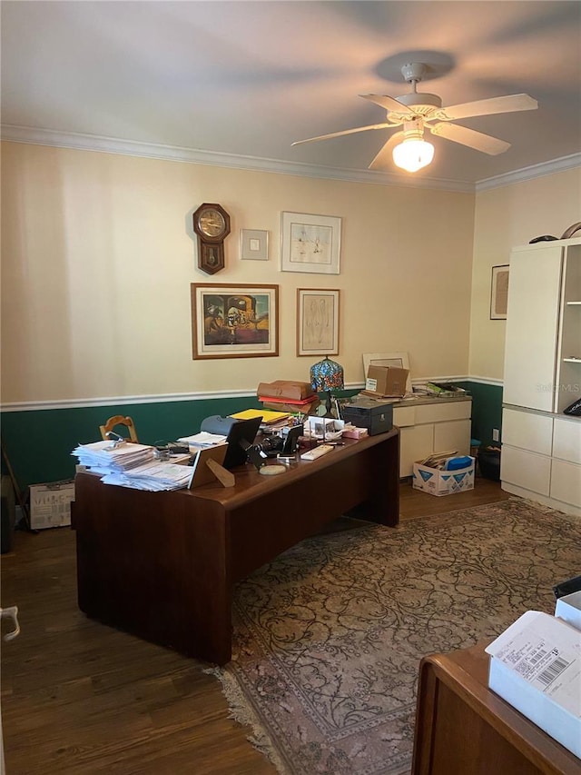 office with ceiling fan, ornamental molding, and hardwood / wood-style flooring