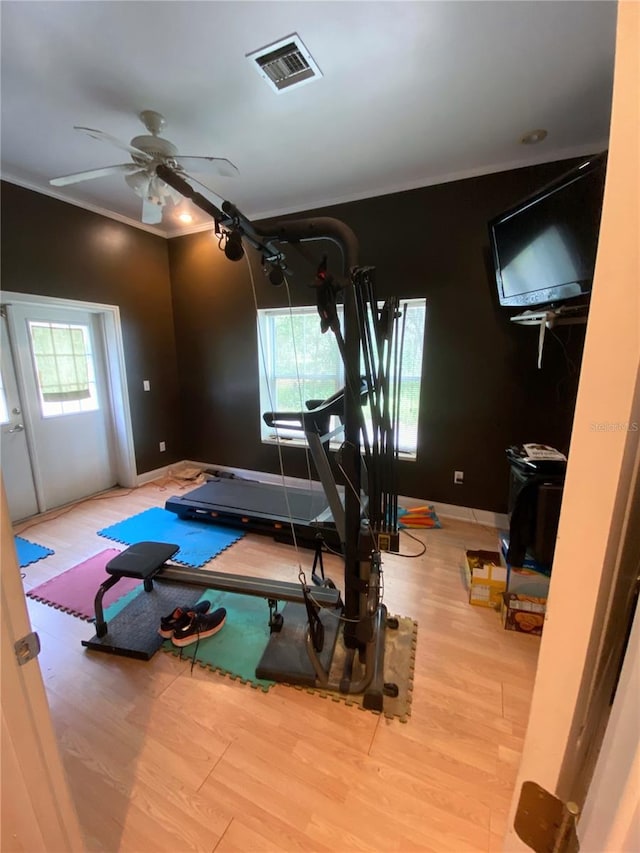 exercise room featuring ceiling fan and light hardwood / wood-style flooring