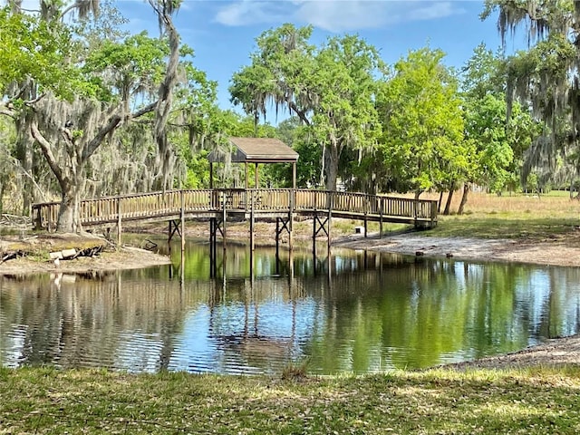 dock area with a water view