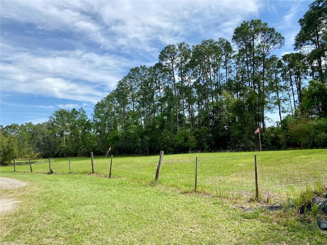 view of yard with a rural view