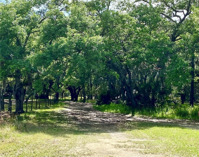 view of nature