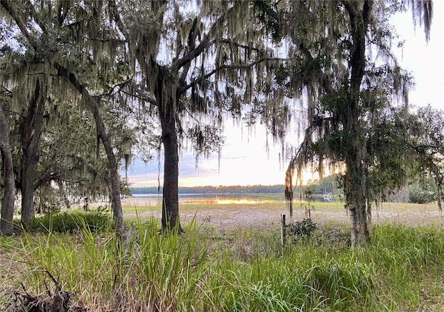 view of nature with a rural view