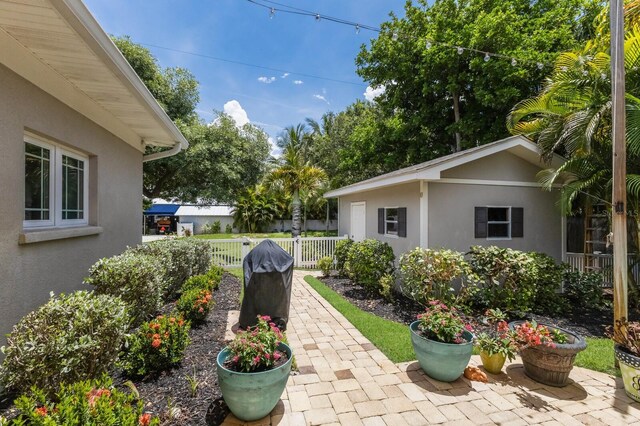 view of yard featuring a patio