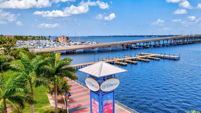 dock area with a water view