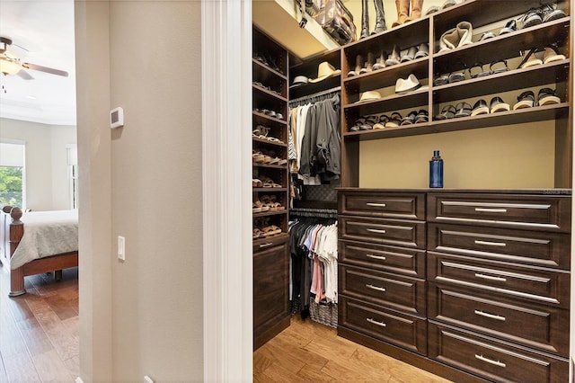 spacious closet featuring light hardwood / wood-style flooring and ceiling fan