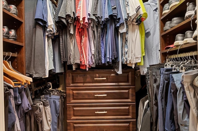 view of spacious closet