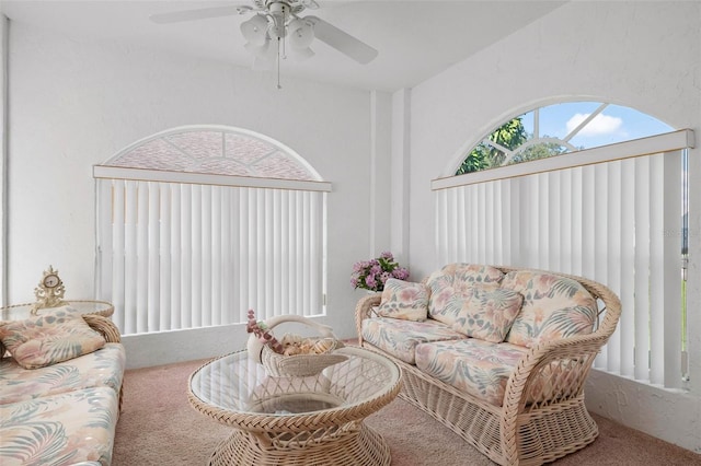 living room with ceiling fan and carpet