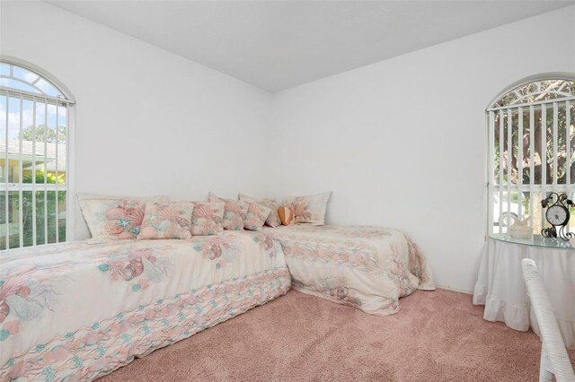 bedroom with carpet flooring