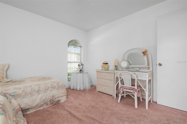 bedroom featuring carpet floors