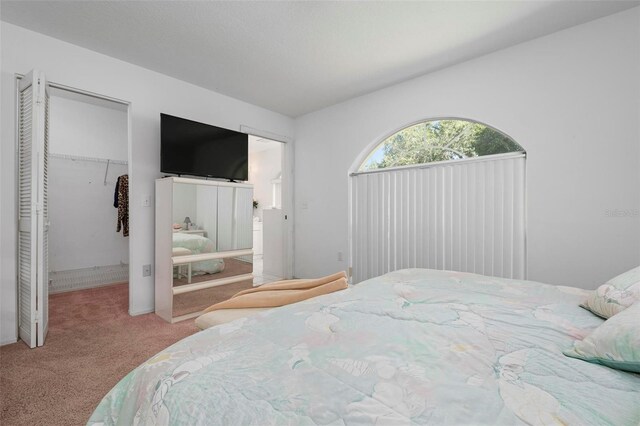 carpeted bedroom with a closet