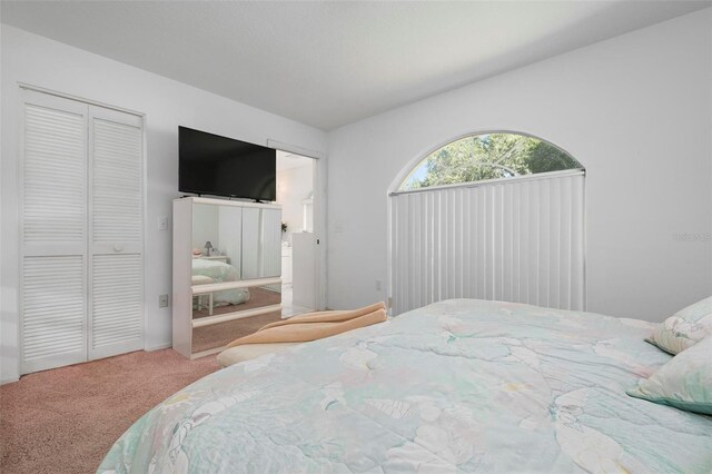 bedroom with carpet flooring and a closet