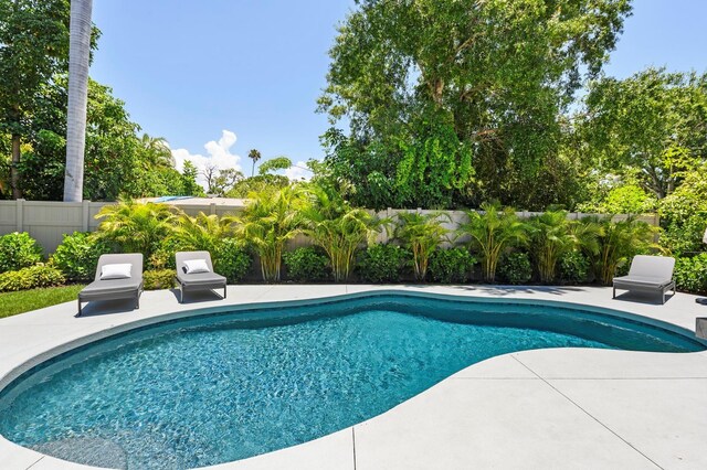 view of swimming pool featuring a patio area