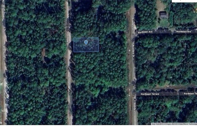 130 Forest St, Georgetown FL, 32139 land for sale