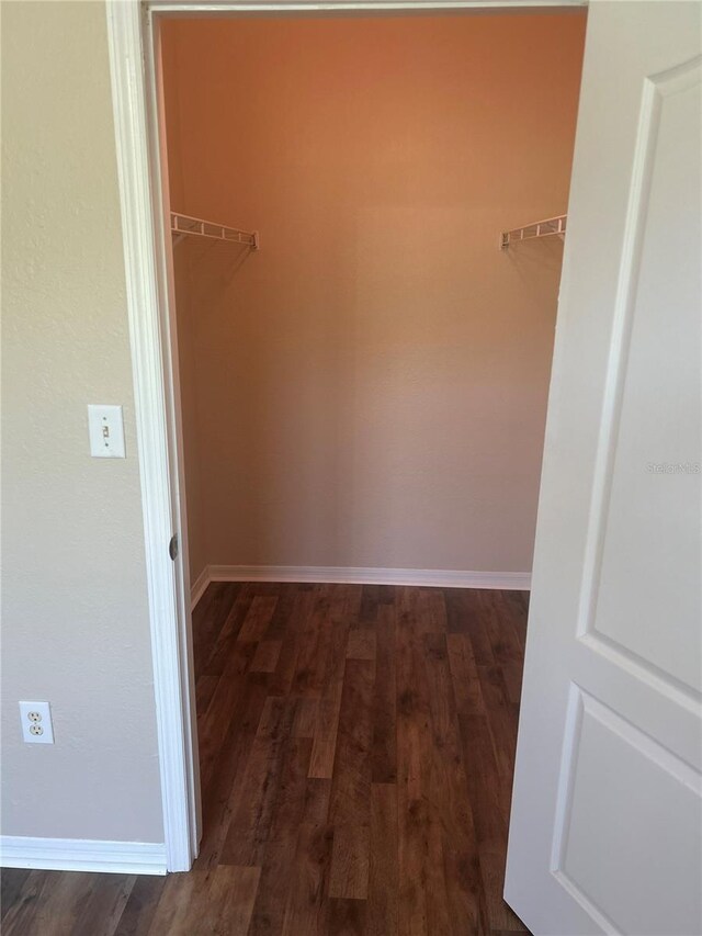 walk in closet featuring hardwood / wood-style floors