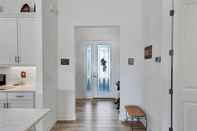 foyer entrance featuring wood-type flooring