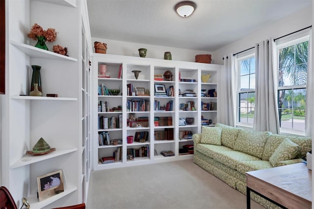 sitting room with carpet floors and a textured ceiling