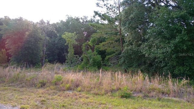 Listing photo 2 for Guava Ln, Ocklawaha FL 32179