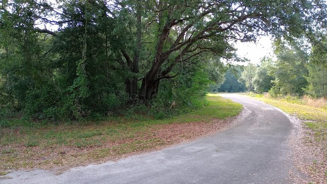 Listing photo 3 for Guava Ln, Ocklawaha FL 32179