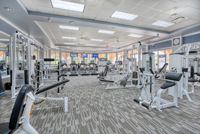 exercise room with a paneled ceiling, a wealth of natural light, and carpet flooring