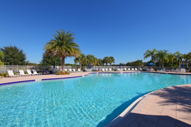 view of pool with a patio area