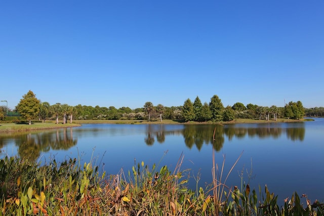 property view of water