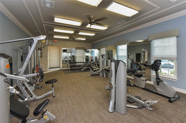 gym with crown molding, carpet floors, and ceiling fan