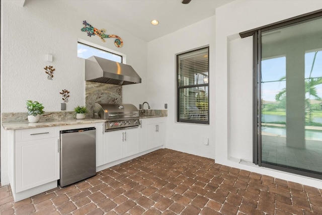 kitchen featuring ventilation hood, stainless steel fridge, plenty of natural light, and sink