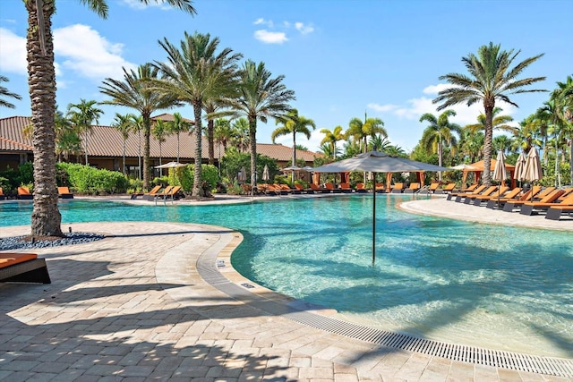 view of pool with a patio area