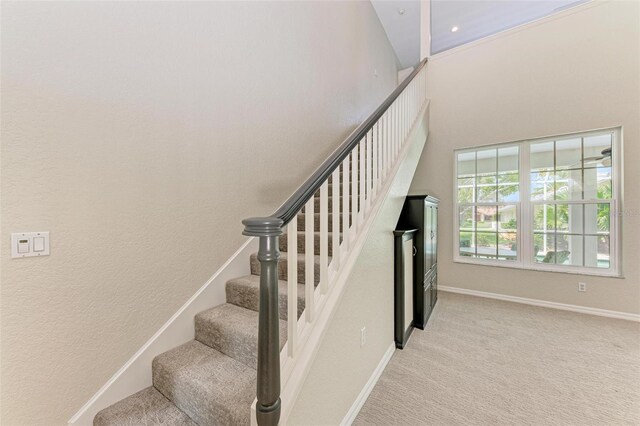 stairway featuring carpet and a towering ceiling