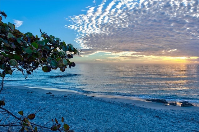 property view of water featuring a view of the beach